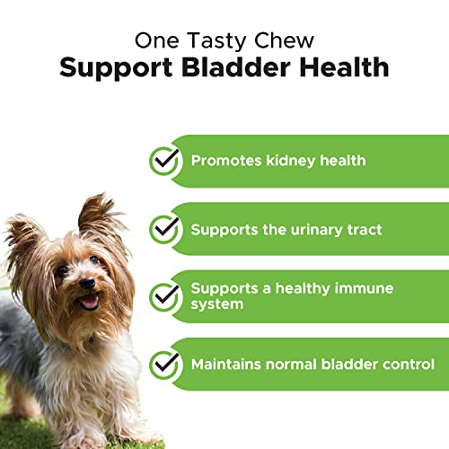 Pet Honesty Bladder Health Cranberry Supplement for Dogs – Kidney Support for Dogs, Dog UTI - Cranberry & D-Mannose to Help Support Dog Urinary Tract Health, Dog Urine & Dog Bladder Support (Chicken) - Image 7
