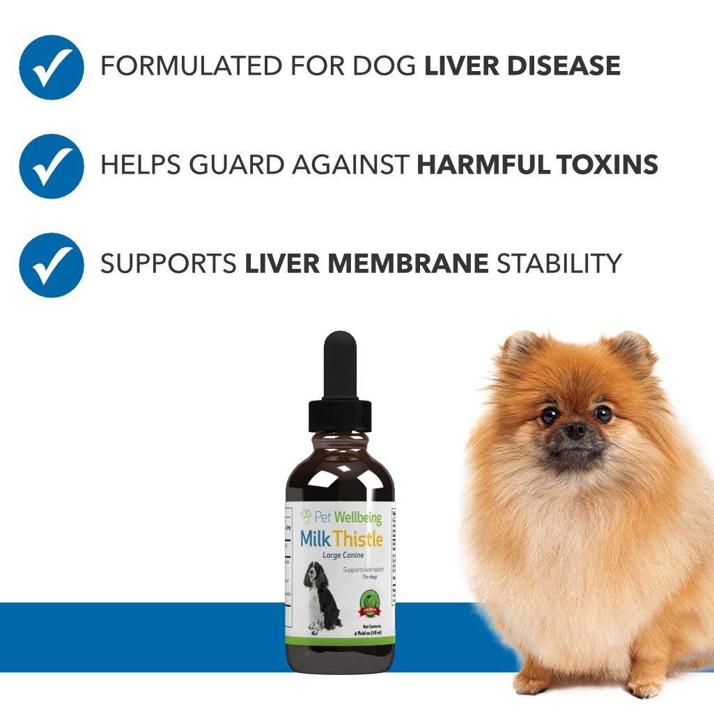 Pet Wellbeing Milk Thistle for Dogs & Cats - Supports Liver Health, Protects Liver - Glycerin-Based Natural Herbal Supplement - 4 oz (118 ml) - Image 3